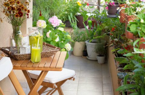 10 Best Balcony Design Ideas for Indian Homes And Apartments