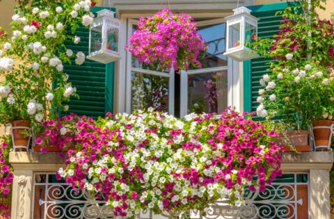 Indian balcony garden decoration ideas for your home