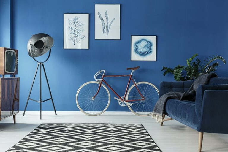 Best Blue Wall Paint Colours For Home DesignCafe