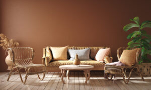 Warm Brown Colour Combinations for Stylish Indian Interiors