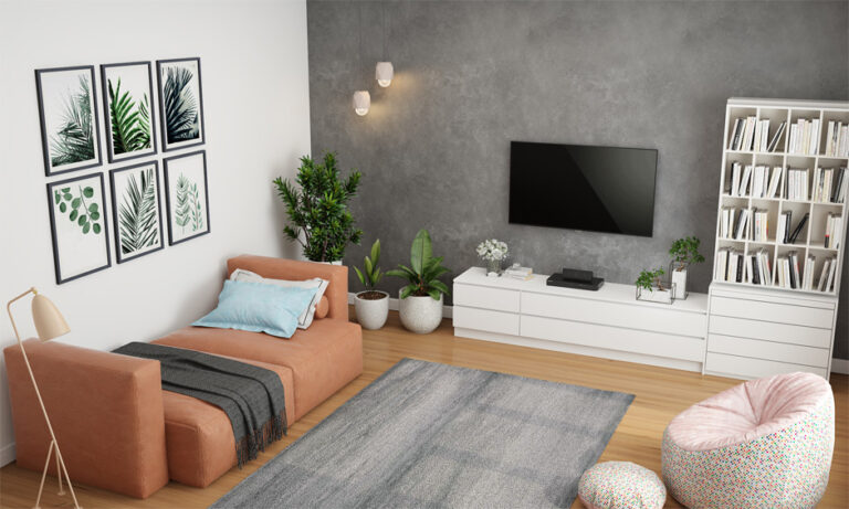 Drawing Room Colour Combination Ideas for a Stylish Space