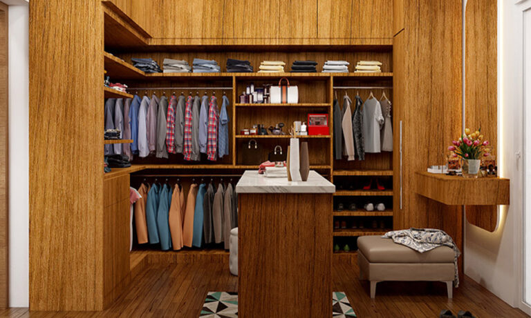 Transforming a Small Walk-in Closet into a Stylish Haven