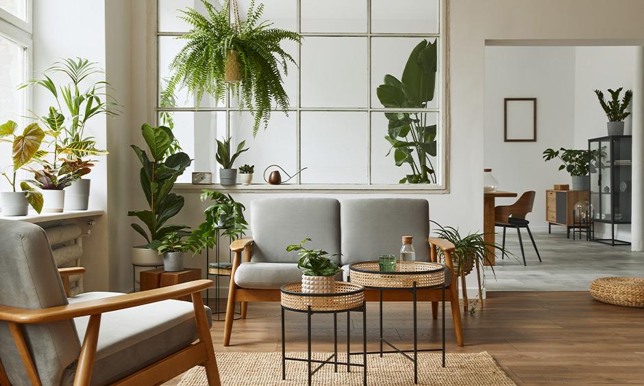 Modern cottage style decor combines vintage charm with sleek lines in a cosy kitchen and living room.
