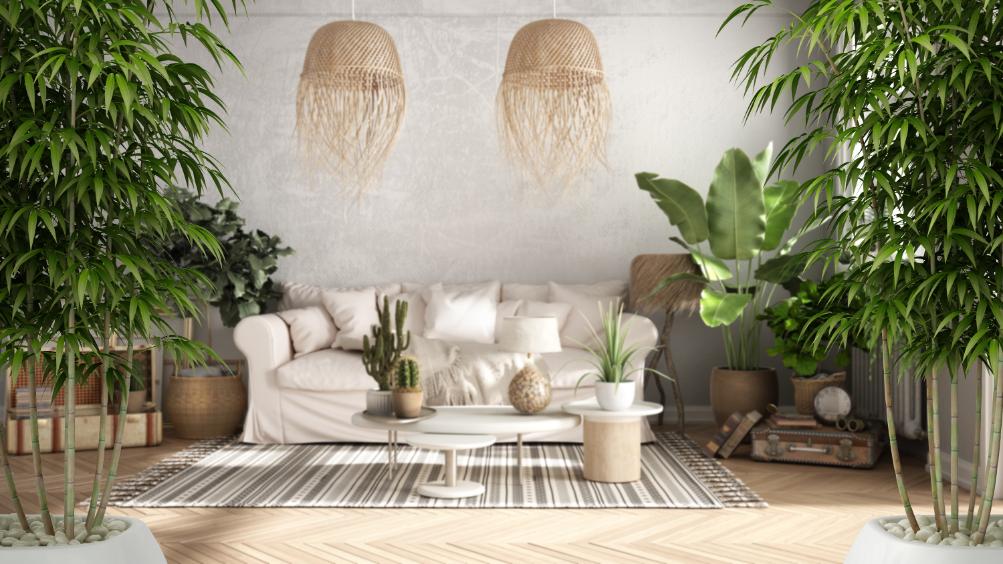 Green interior design with sage and emerald tones, natural textures, and eco-friendly materials.