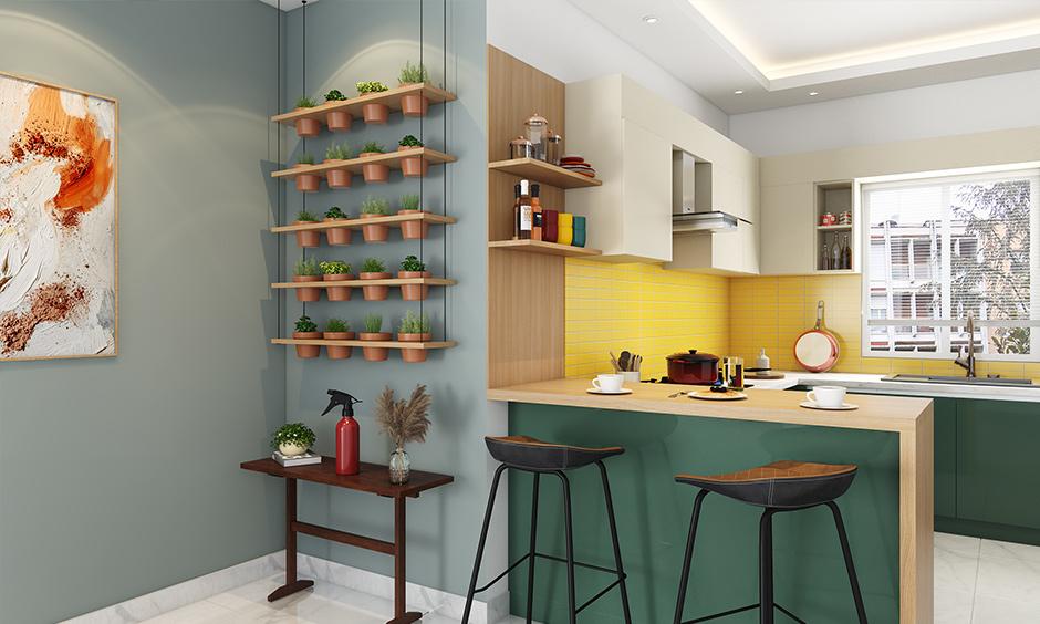 Sustainable green kitchen interior with sage cabinets and wood shelving.