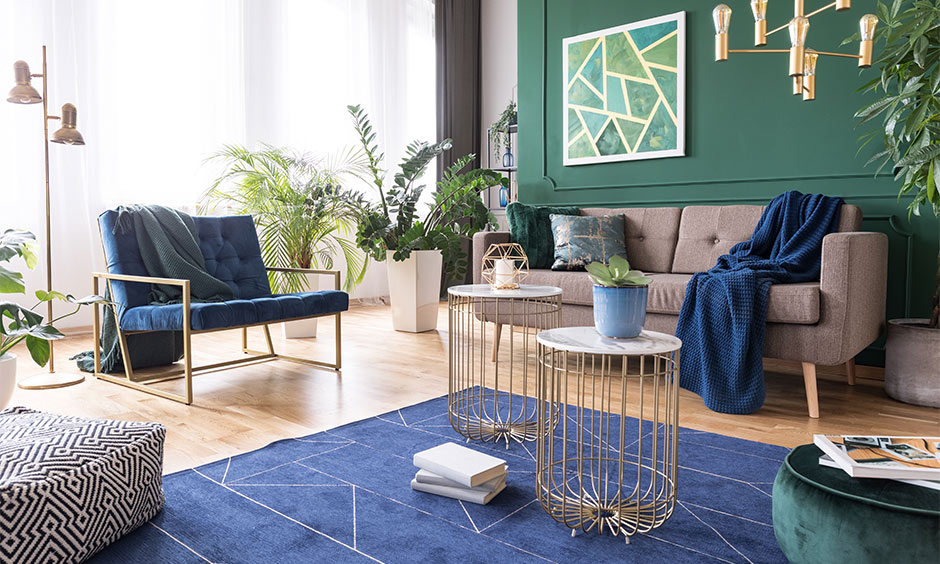 Eco-friendly living room interior design inspired by nature, which uses plants as accents