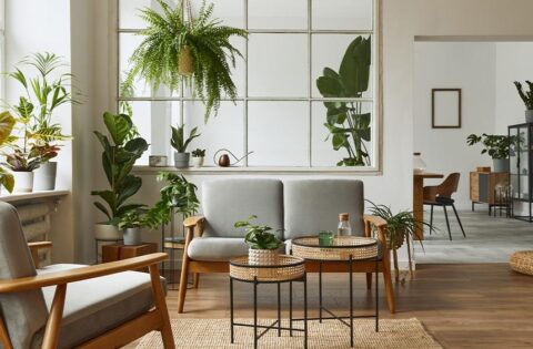 Rental house decorating ideas to brighten up your space.