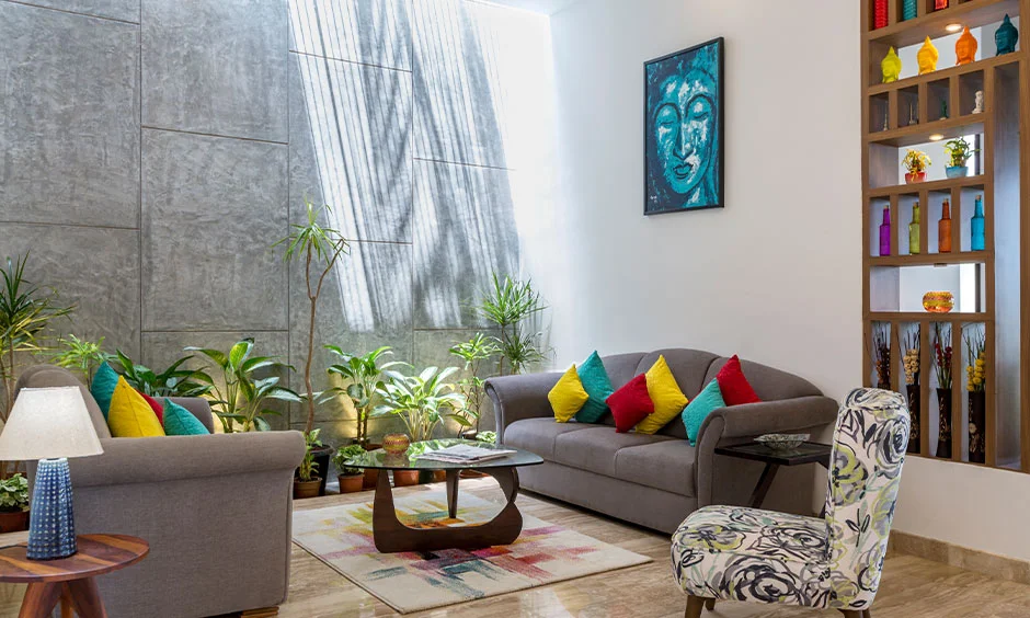 Bright living room with indoor plants, colourful cushions and a contemporary seating arrangement