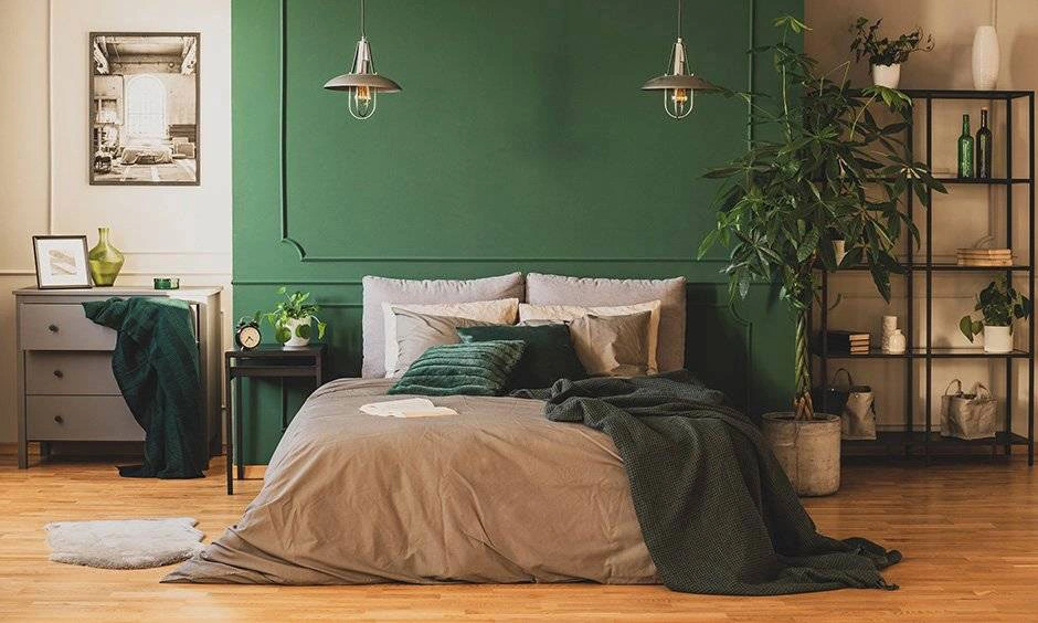 A forest-green accent wall and indoor plants bring natural elements into the bedroom.